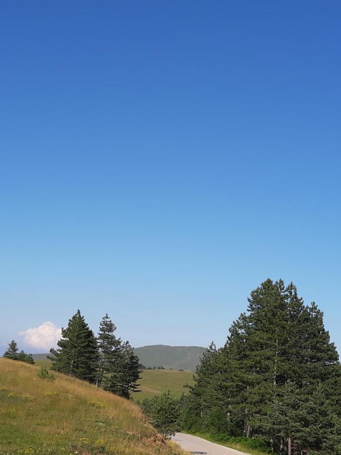 Apartman Gagi Zlatibor Bagian luar foto