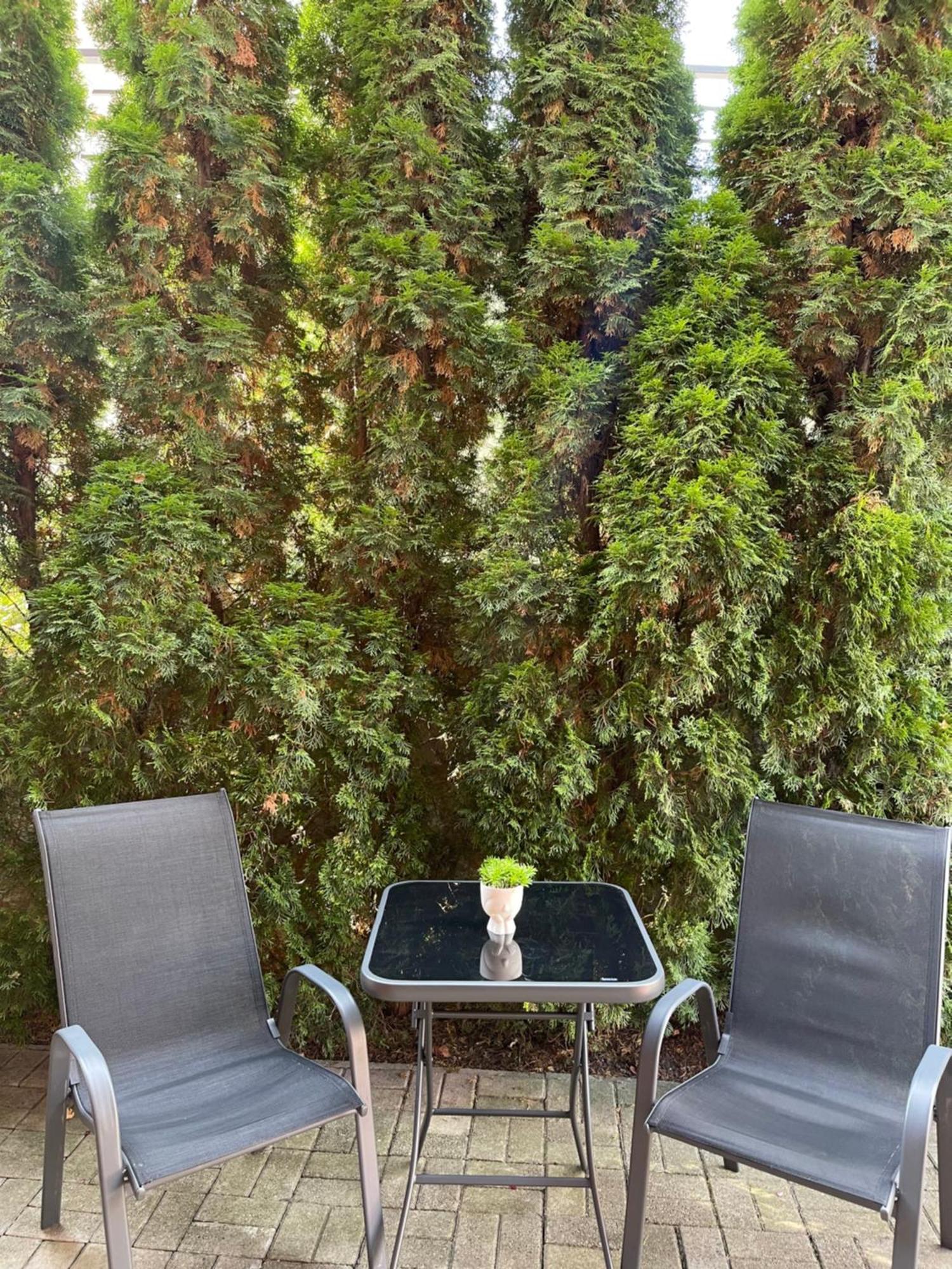 Apartman Gagi Zlatibor Bagian luar foto